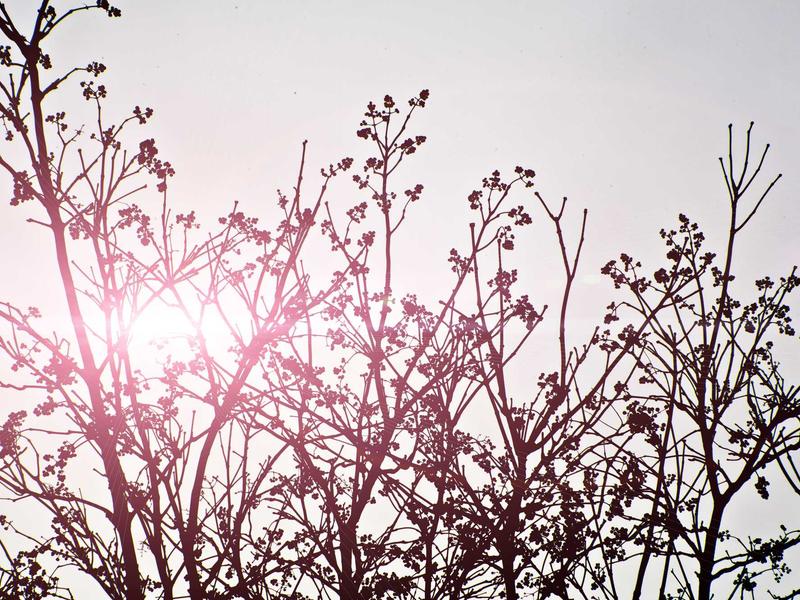 sudoku newspaper puzzle screenshot 3