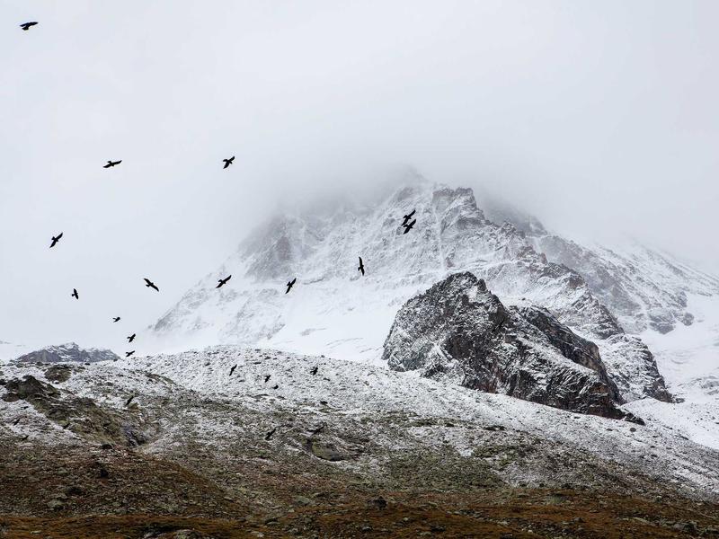 sudoku newspaper puzzle screenshot 1